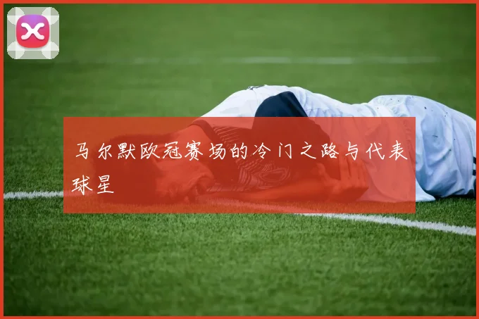 马尔默欧冠赛场的冷门之路与代表球星