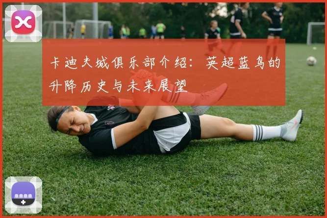 卡迪夫城俱乐部介绍：英超蓝鸟的升降历史与未来展望