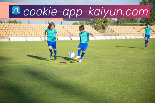 开云app平台生态图