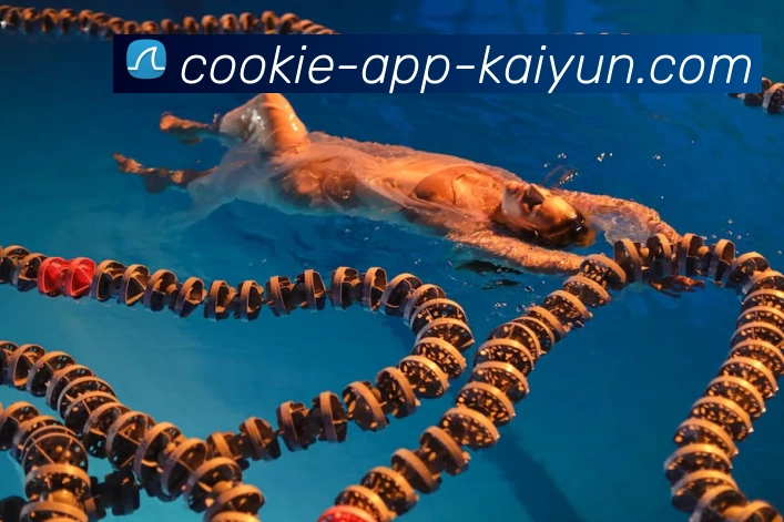 开云appAPP 体育赛事宣传图